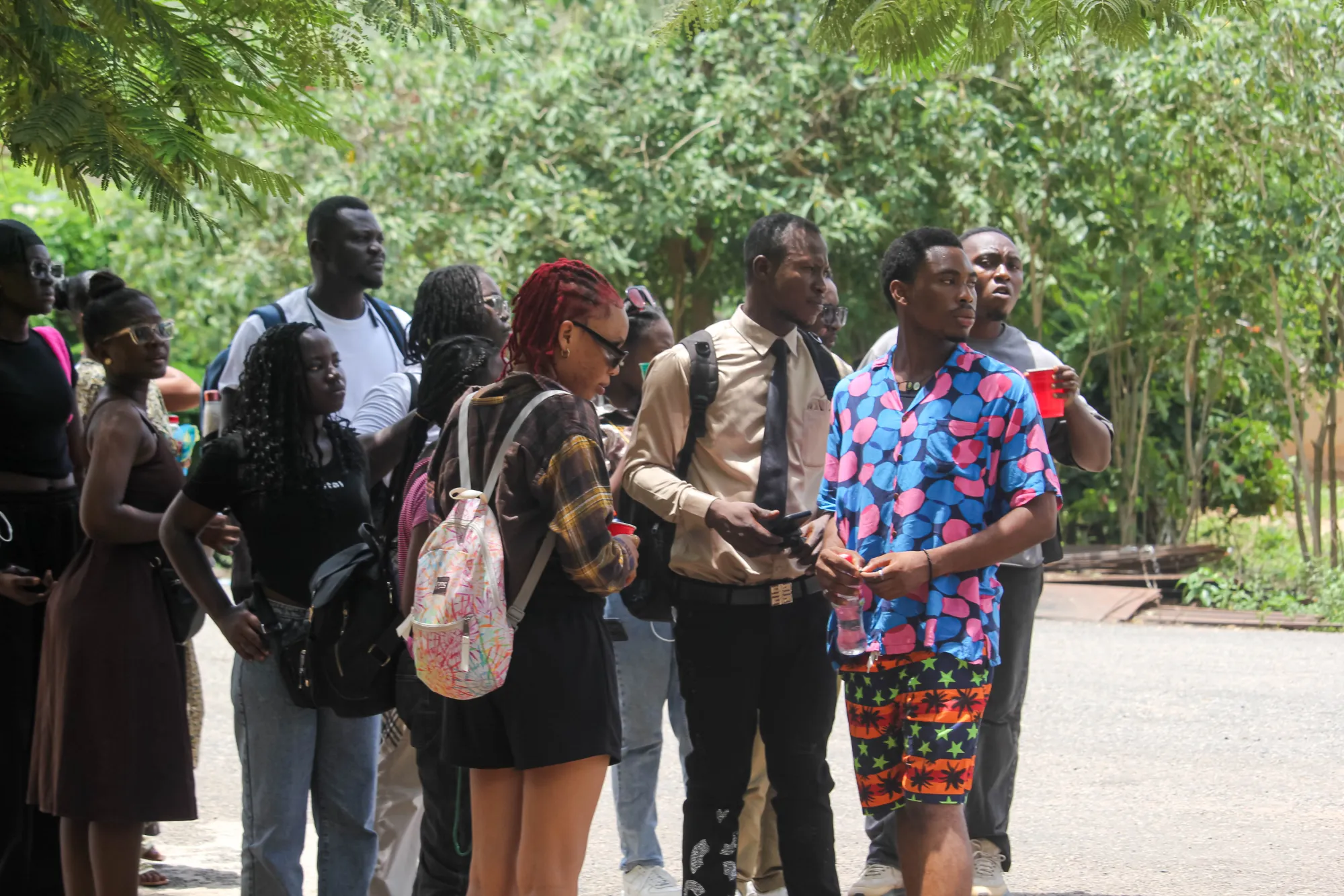 Tafi Atome & Wli Waterfalls: Volta Nature Day