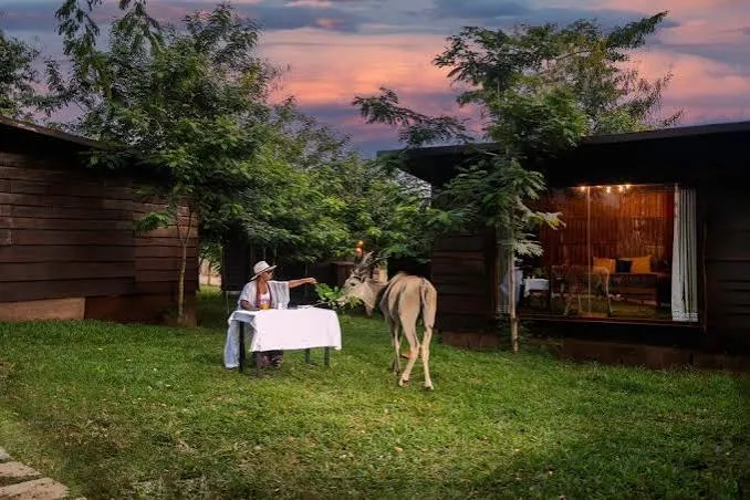 Gardens, Falls & Safari Valley Retreat: Akuapem Hills Escape