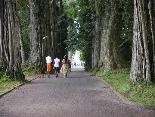 Aburi Gardens & Asenema Falls: Eastern Hills Day