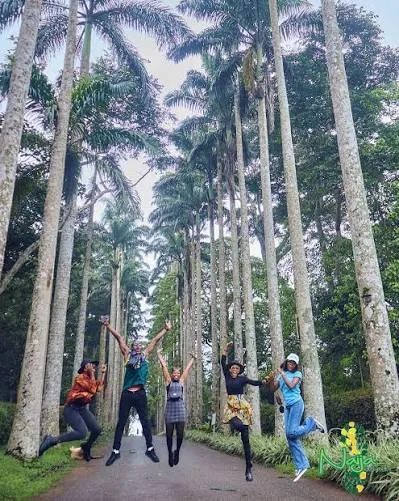 Bunso Arboretum Eco Park