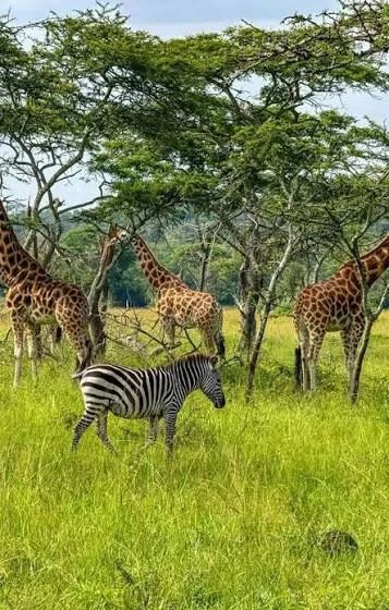 Owabi Wildlife Sanctuary