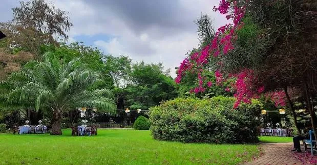 Rufus Green Parks