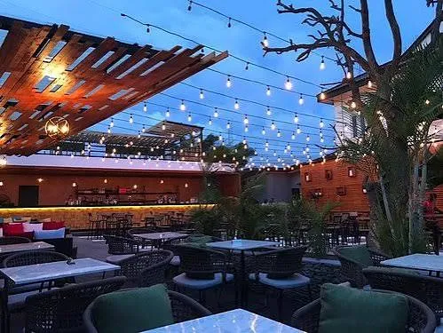 Bloom Bar