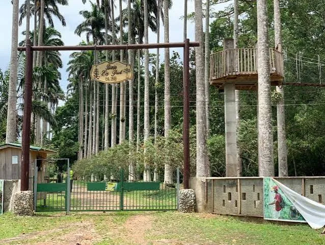Bunso Arboretum Eco Park