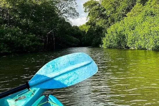 Butre Village Mangrove Canoe  