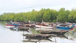 Butre Village Mangrove Canoe  