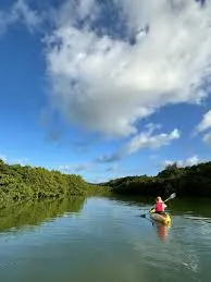 Butre Village Mangrove Canoe  