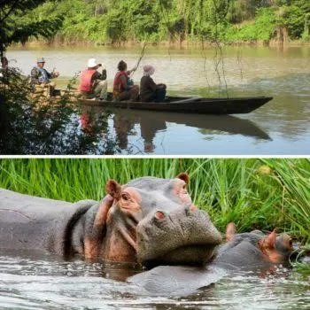 Wechiau Community Hippo Sanctuary