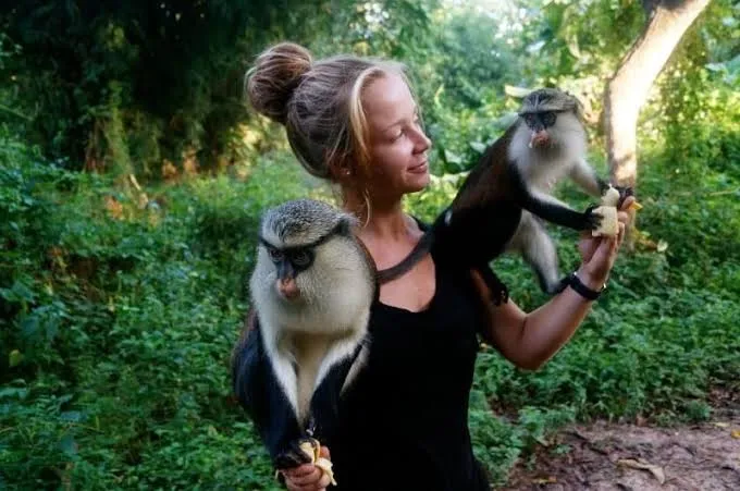 Tafi-Atome Monkey Sanctuary & Cultural Village