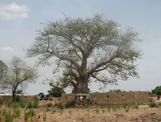 Salaga Slave Market