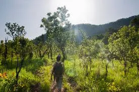 Kyabobo National Park