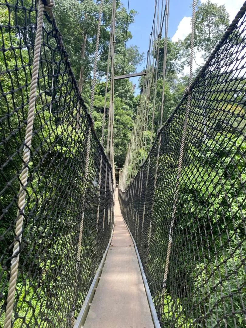 Kakum National Park