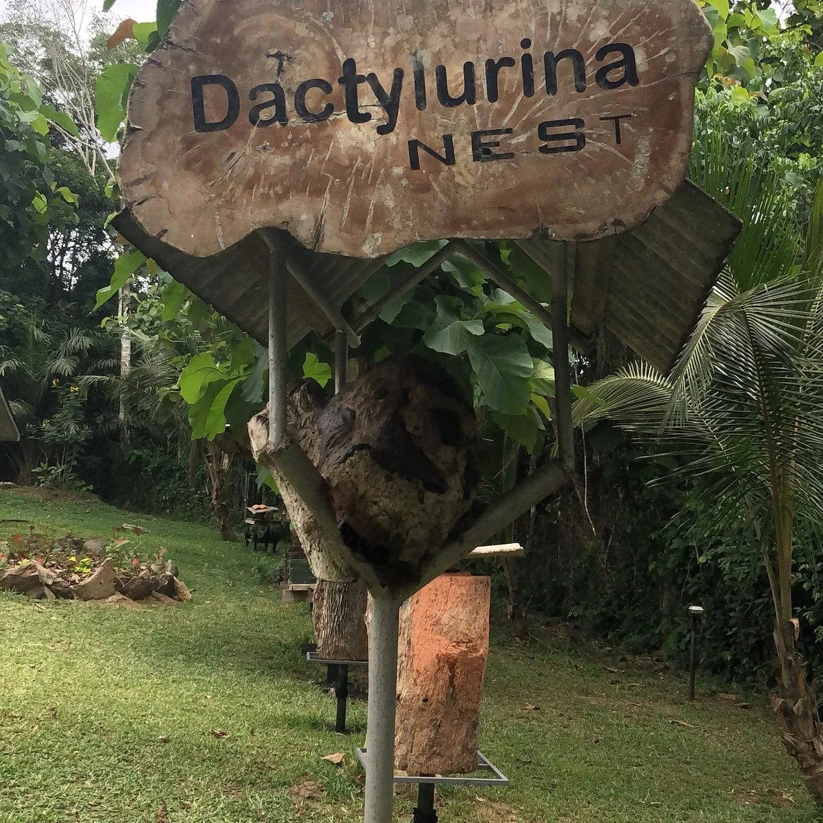     International Stingless Bee Centre 