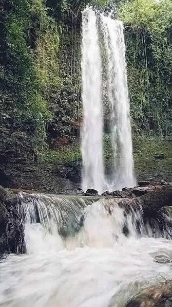     Asenema Waterfalls 