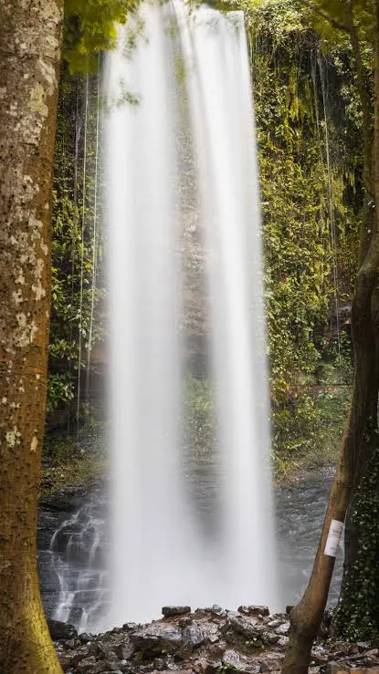     Asenema Waterfalls 