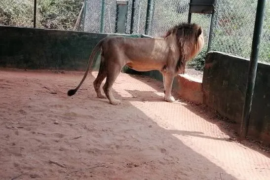 Accra zoo
