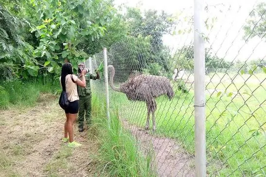 Accra zoo