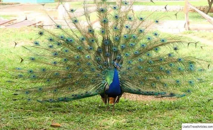 Kumasi Zoo