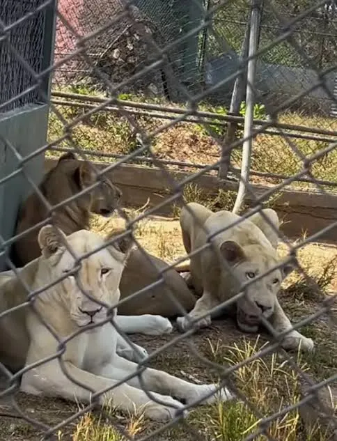 Kumasi Zoo