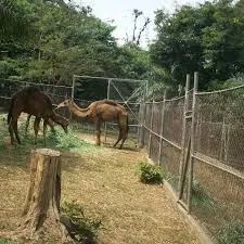 Kumasi Zoo